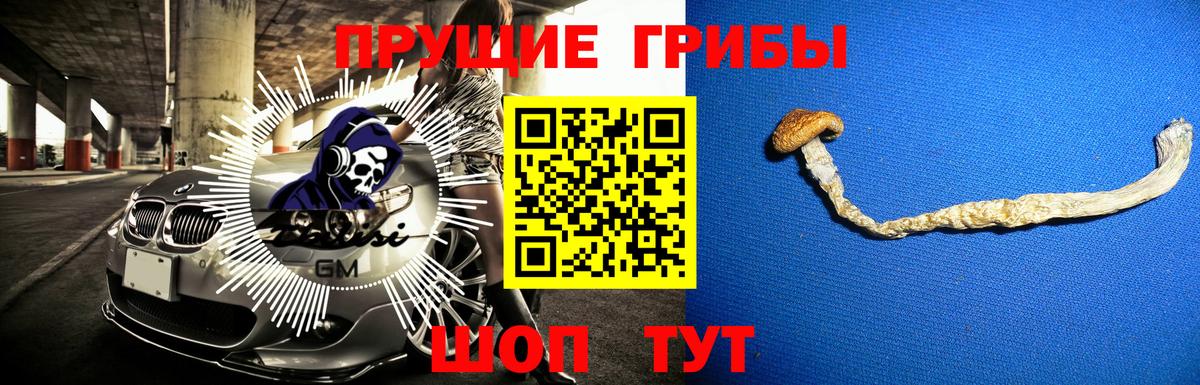 Галлюциногенные грибы GOLDEN TEACHER Тольятти