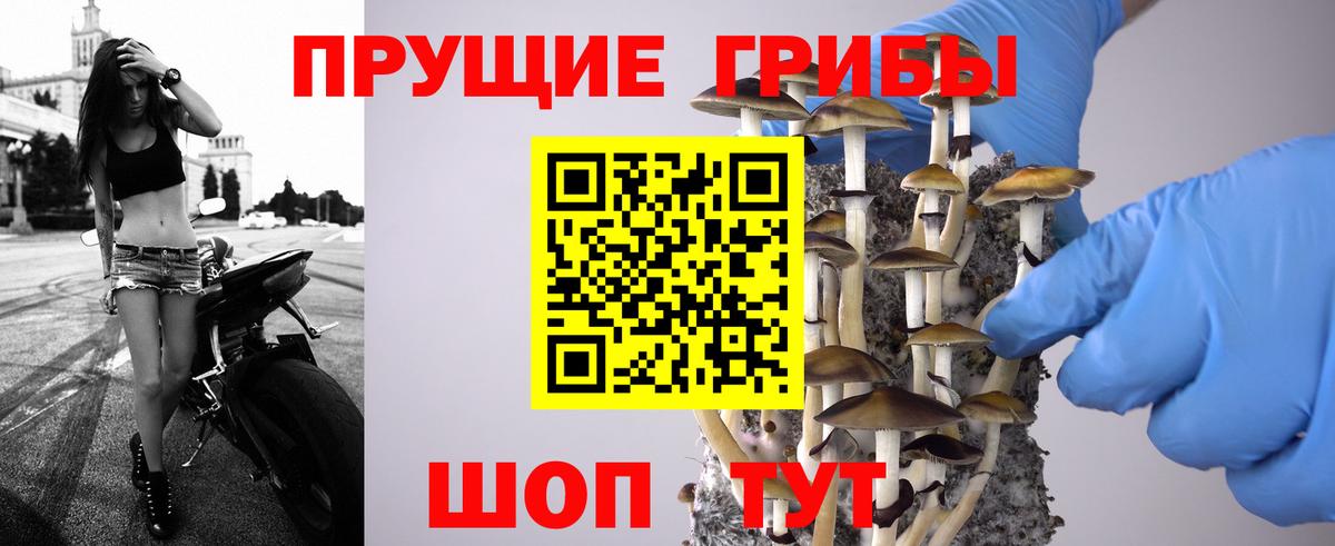 Тольятти  Галлюциногенные грибы мухоморы  Вход с VPN  Псилоцибиновые грибы Psilocybe 